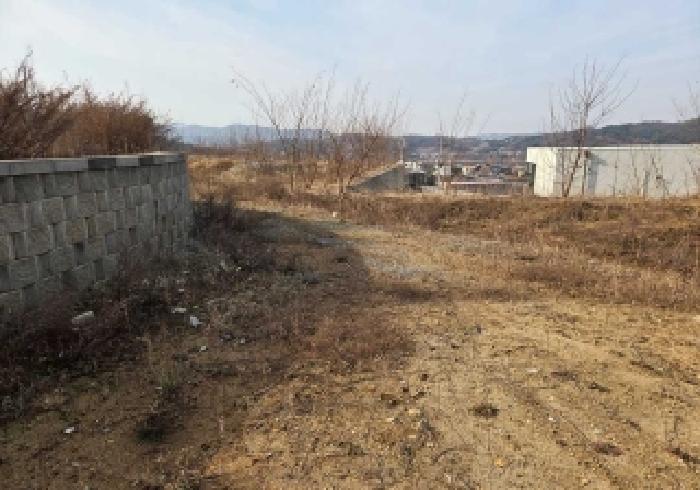 상동