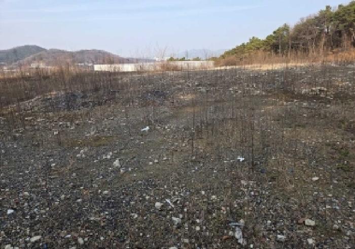 상동