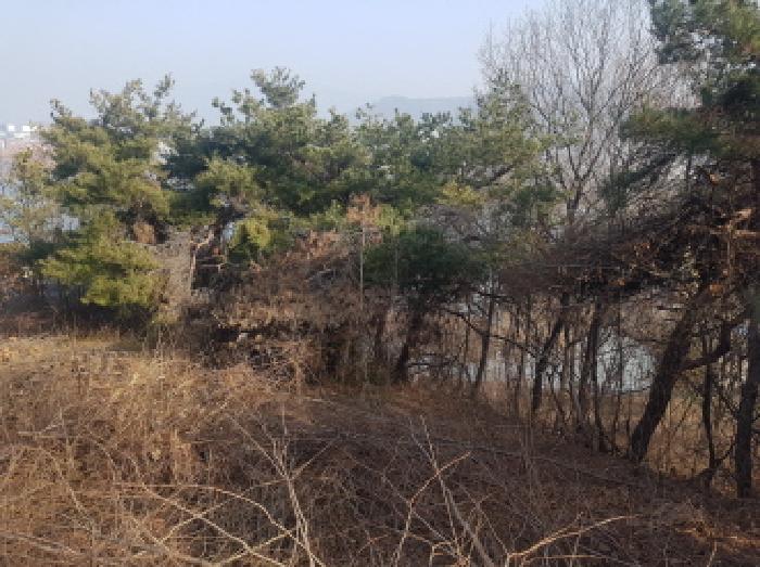 목록2 전경(2)