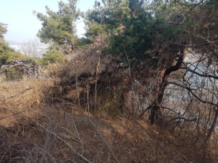 목록2 전경(3)