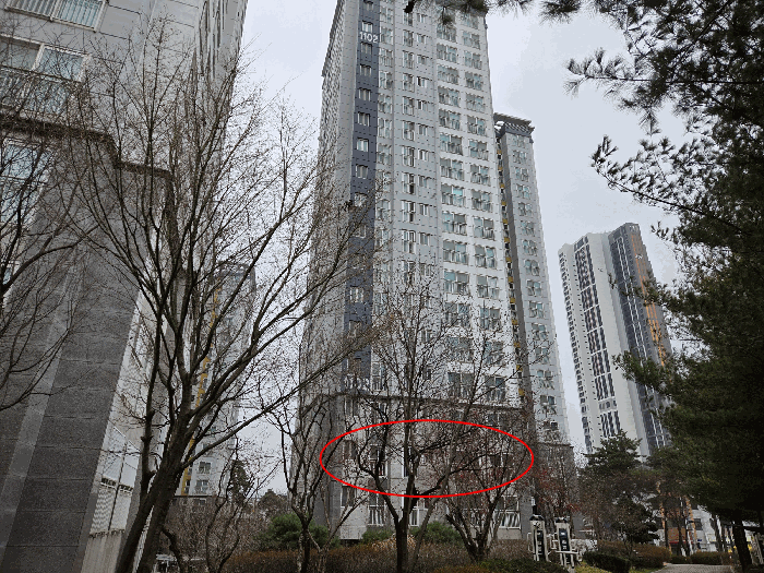 본건 전경(북동측에서 촬영)
