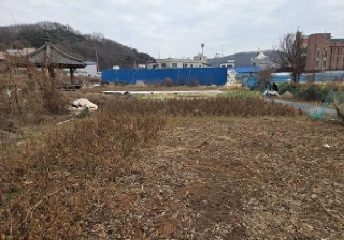 상동