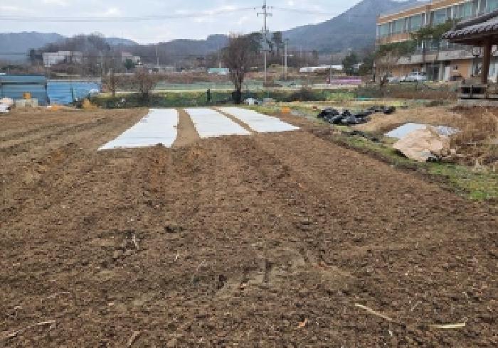 상동