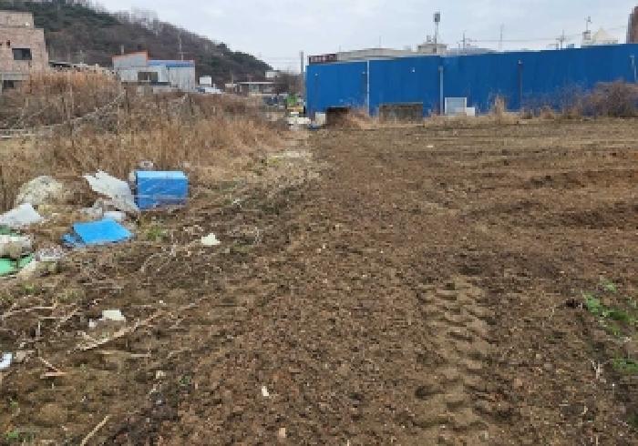상동