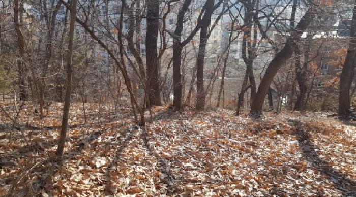 본건 전경(4)