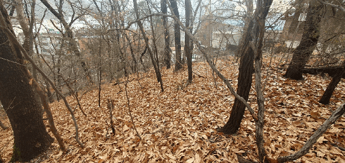 본건 전경