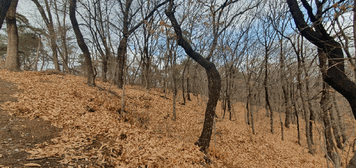 본건 전경
