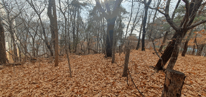 본건 전경