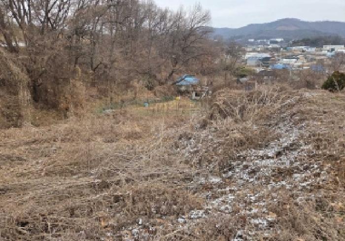 상동