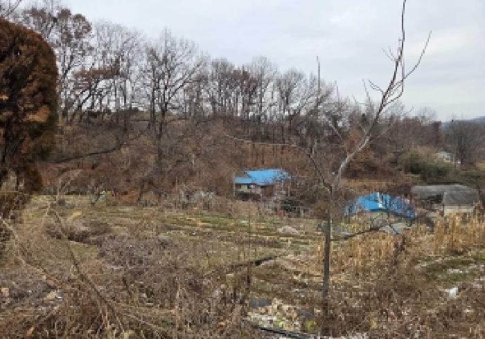 서쪽 지점 임야