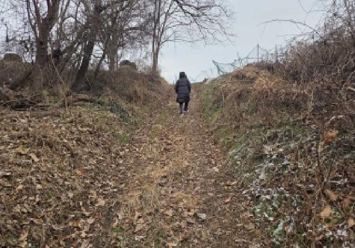 상동