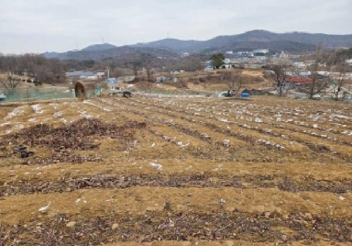 상동