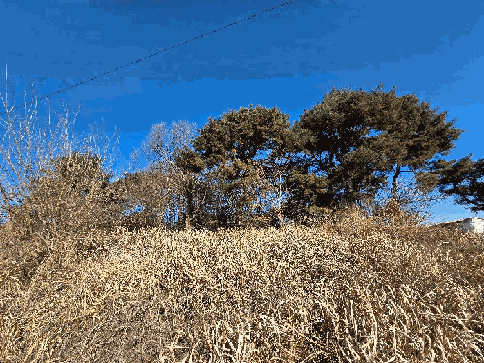 기호 1) 전경-1
