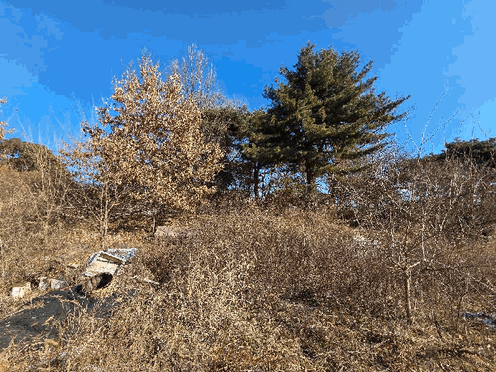 기호 1) 전경-2