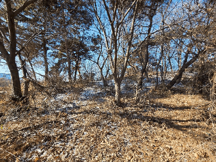 기호 2) 전경-2