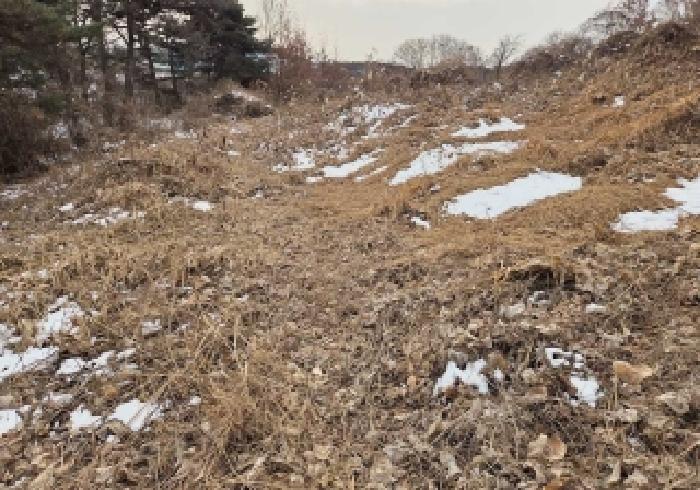 본건 토지 위쪽 분묘가 이장된 것으로 보이는 지점