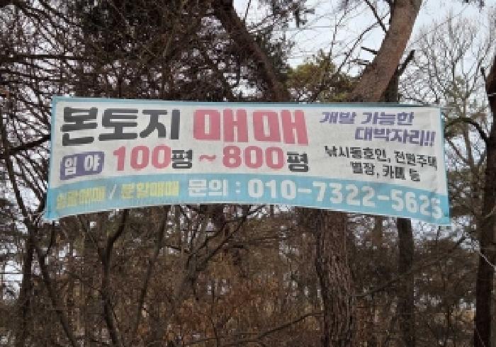 상동