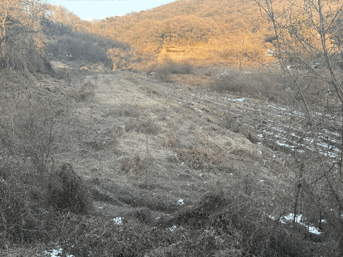 본건 및 부근 전경