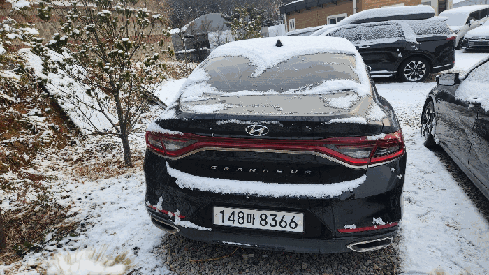 후면