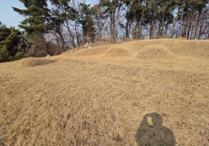 상동(토지 내 분묘 3기)