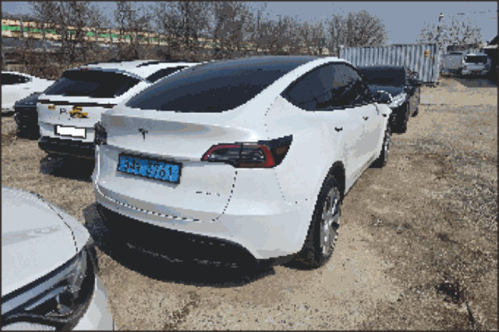 2026타경10202