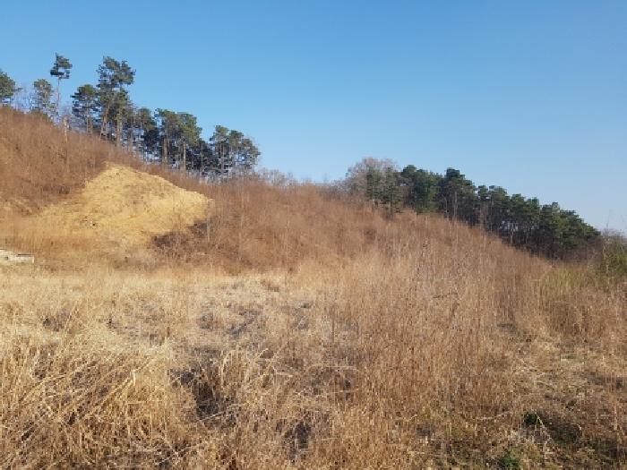 본건 전경(3)