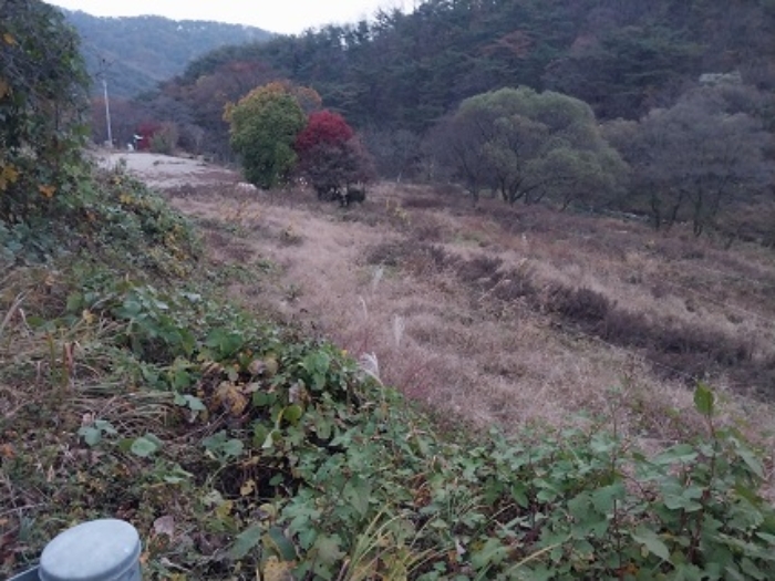 목록4번