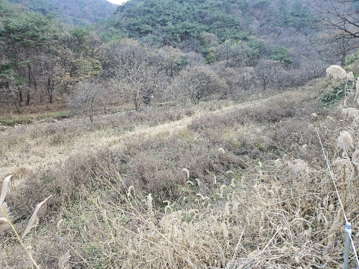 5. 대상물건 4 전경-2