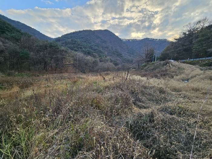 4. 대상물건 4 전경-1