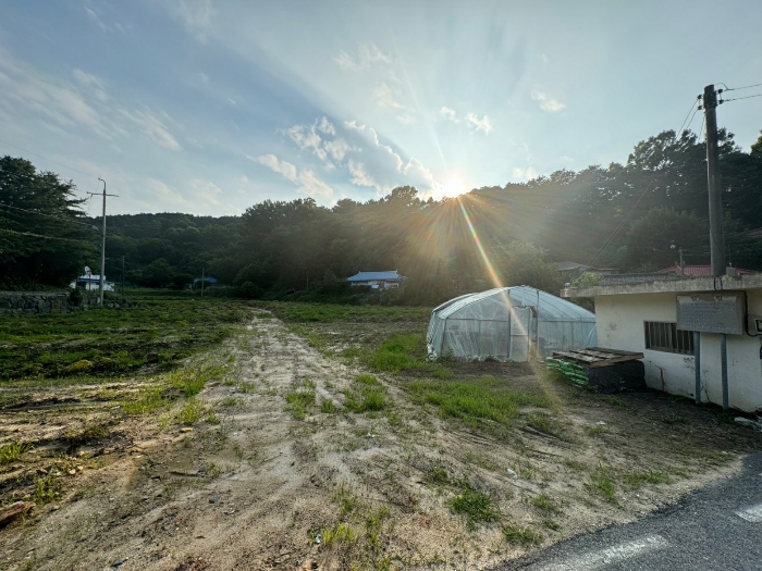 기호(1,4) 동측 전경