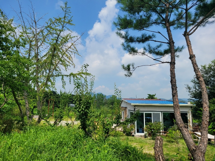 기호(1,3) 소재 제시외수목