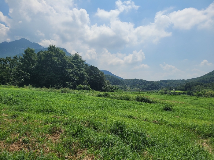 기호(4,5) 전경