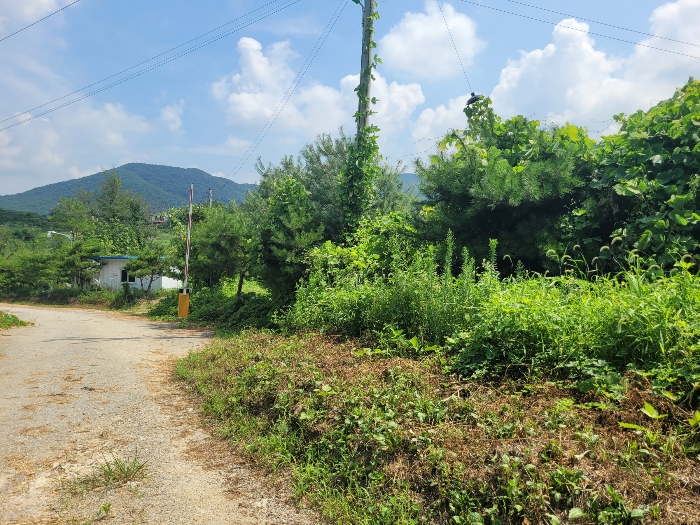 기호(6,8), 제시외수목
