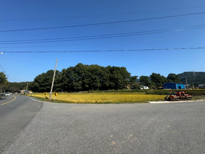 본건 전경