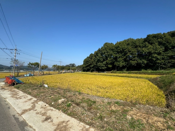 본건 전경