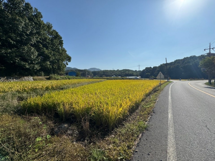 본건 전경