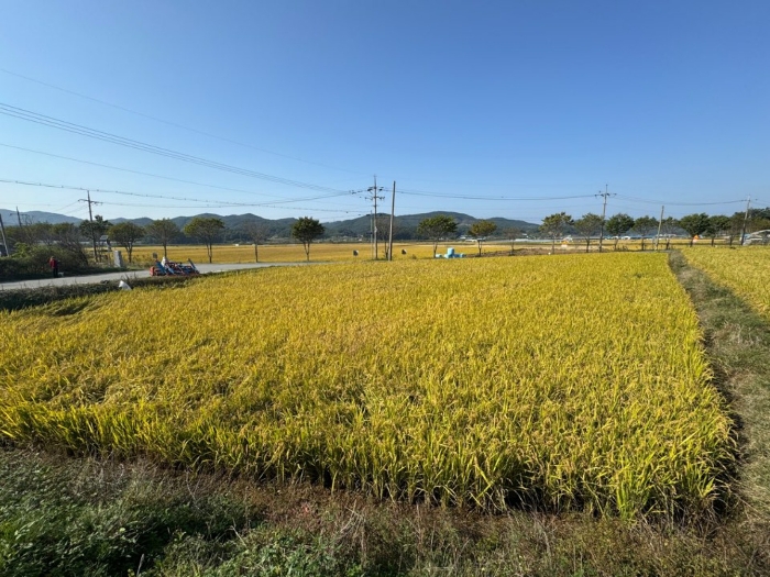 본건 전경