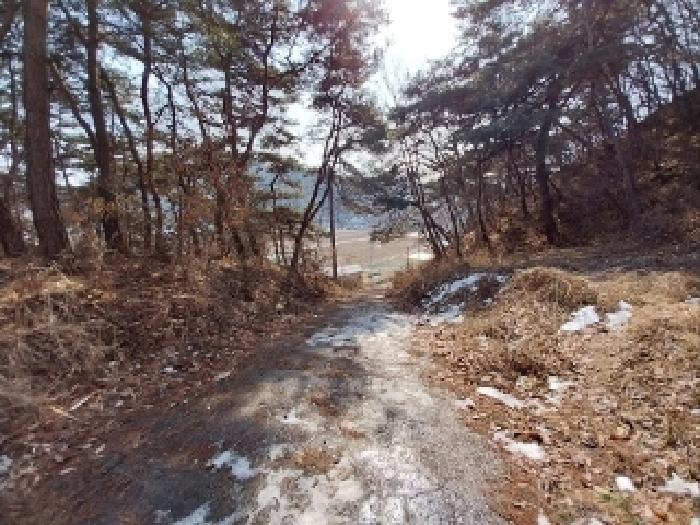목록1~11번 전경