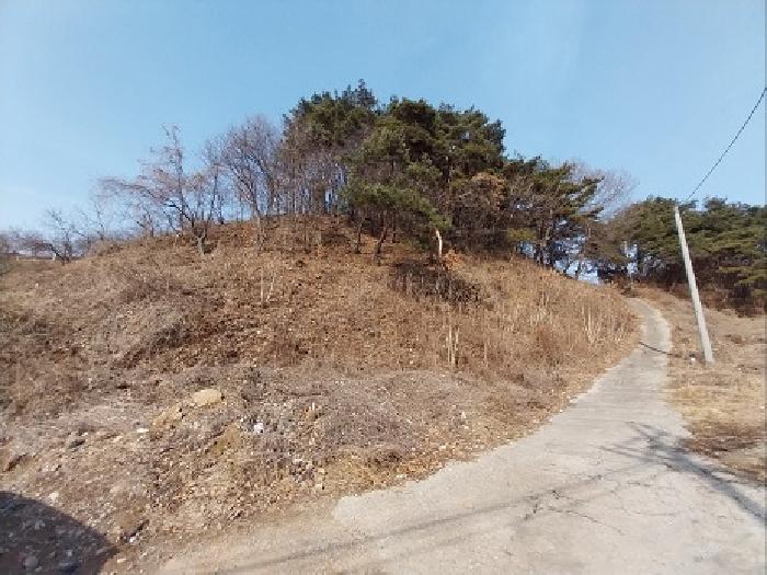 목록5,6,11번