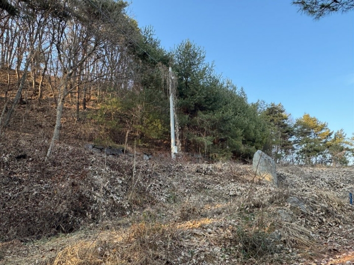 기호(4,10) 전경