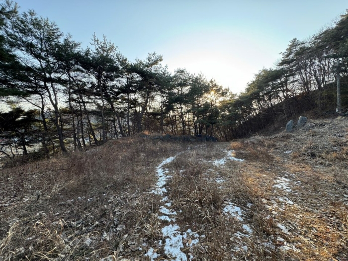 기호(8) 전경