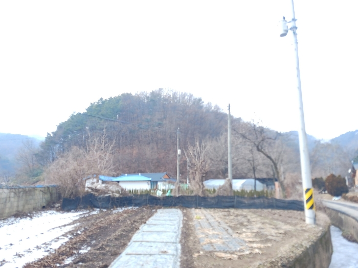 본건 동측 전경