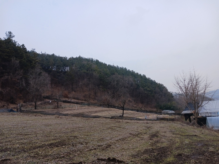 본건 남서측 원경