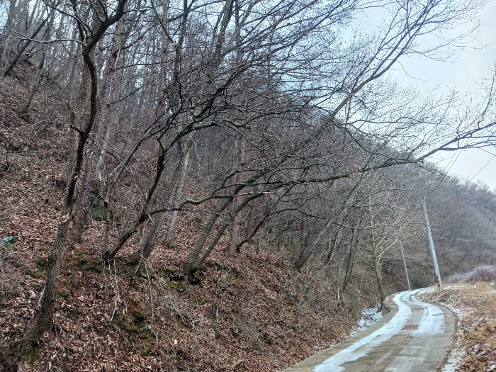 본건 북동측 근경