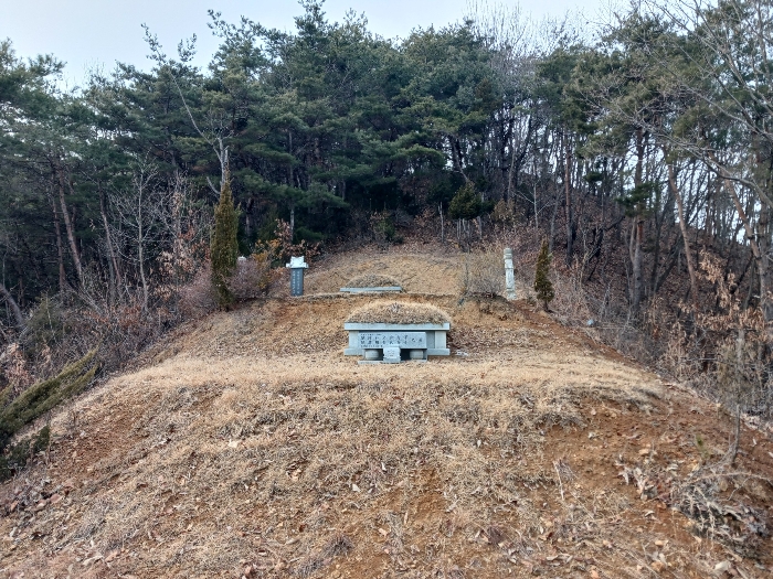 제시외 분묘 전경