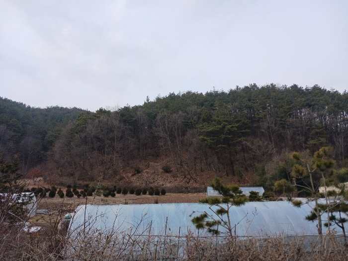 본건 남측 전경