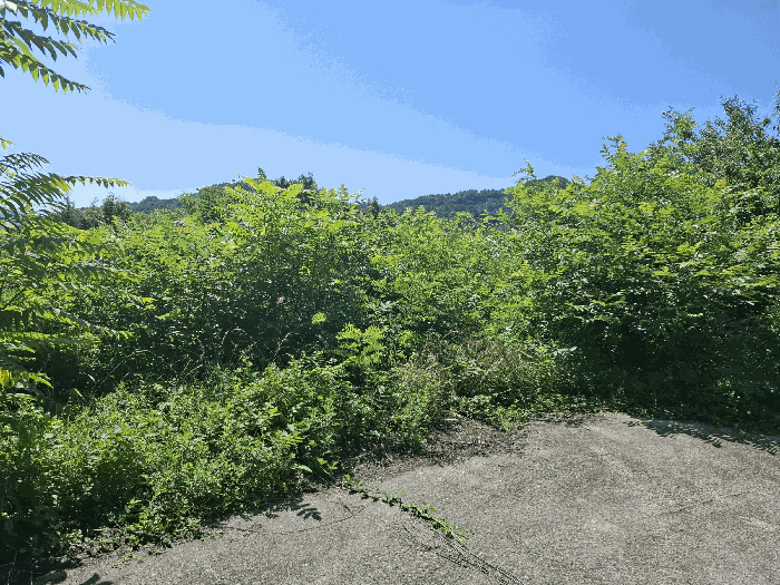 본건 북측 근경