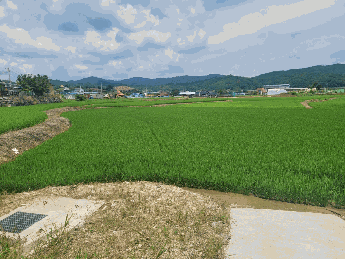 본건 전경