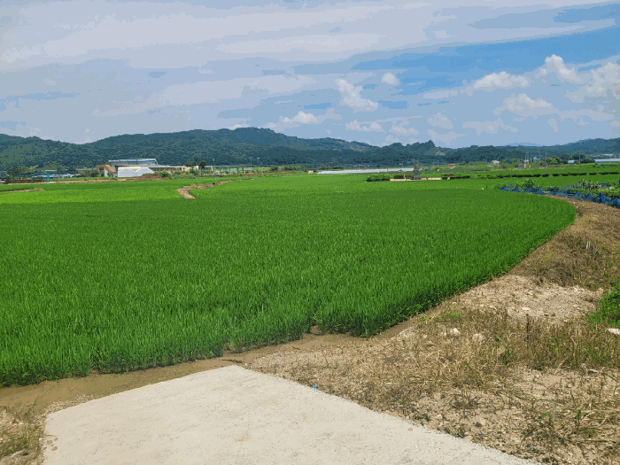 본건 전경