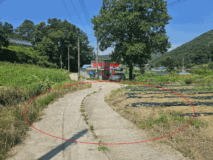 중묵리 446 전경